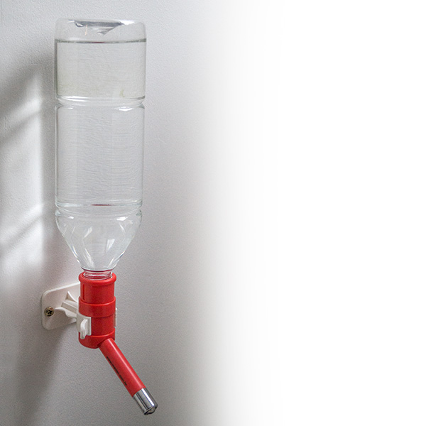 drikkeflaske til hund