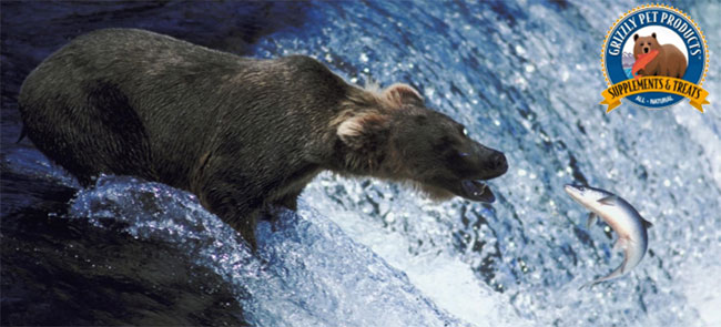 Omega-3 tilskud til hunde