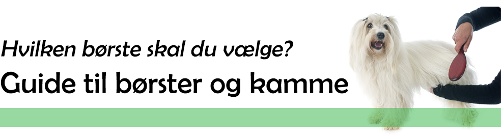 Hundebørster og kamme