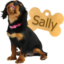 Lille sort og brun hvalp med et lyserød halsbånd sidder og slikker sig om munden. Bag den er et guld hundetegn formet som et kødben, hvor der står Sally