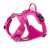 True Love Explosion Proof | Hundesele → Pink