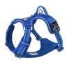 True Love Explosion Proof | Hundesele → Royal Blue