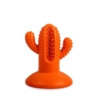 Puppy Dental Cactus | Mellemstore racer