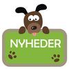Nyheder
