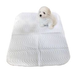 Ollipet vaskbart tisseunderlag