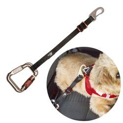 Curli Sikkerhedsbælte | bilsele