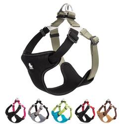 True Love Step in sele