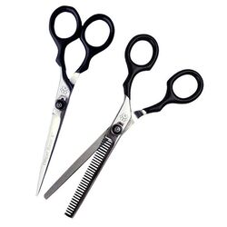 Ollipet Basis Saksesæt