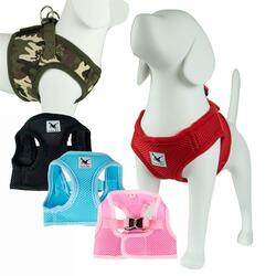 Step in sele | Tail Up