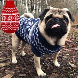 Hundesweater med snefnug