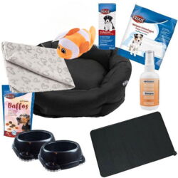 Welcome Home | Alt til hvalpestart