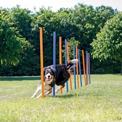 Agility Slalompinde | Trixie