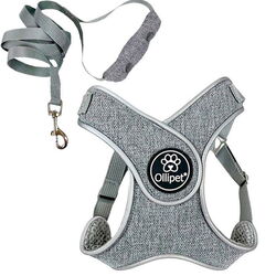 Ollipet Seoul Sele og line