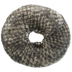 Trixie Denta Fun Fish Chewing Ring