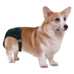 Pawise løbetidsbukser