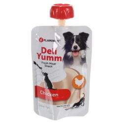 Snack Pasta Deli Yumm Kylling