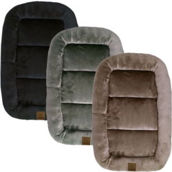 Ollipet Kaya Wellness Madras