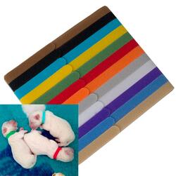 ID hvalpehalsbånd til nyfødte hvalpe - 12 forskellige farver