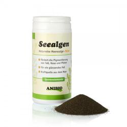 Anibio Seealgen 250g (Havtang)