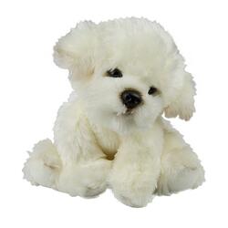 Coton de Tulear /Bichon Frise bamse/Ollie