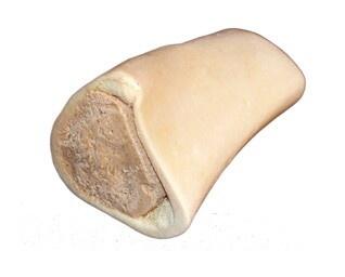 Marrowbone med kylling