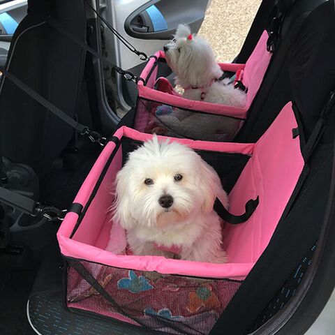 Autosæde til små hunde | Sort m. Poter