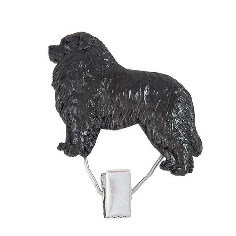 Nummerclips Newfoundland