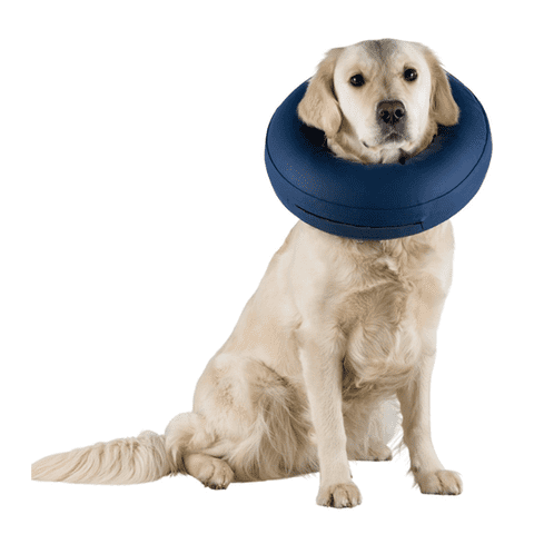 Oppustelig krave | Trixie