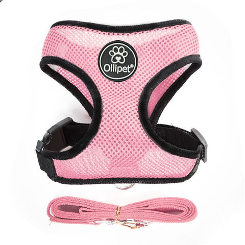 Ollipet sele og line sæt| Mesh | Babylyserød