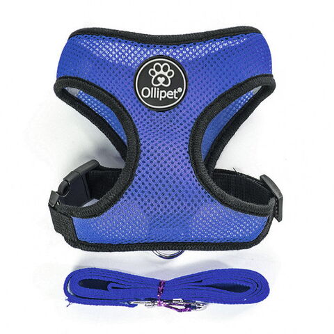 Ollipet sele og line sæt| Mesh | Blå