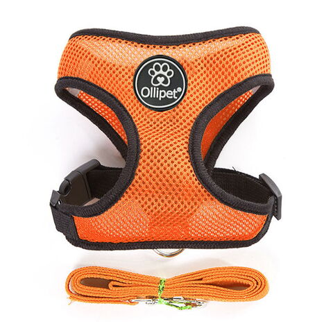 Ollipet sele og line sæt| Mesh | Orange