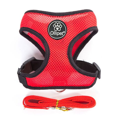 Ollipet sele og line sæt| Mesh | Rød