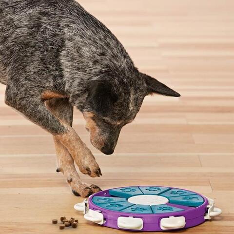 Nina Ottosson Dog Twister | niveau 3