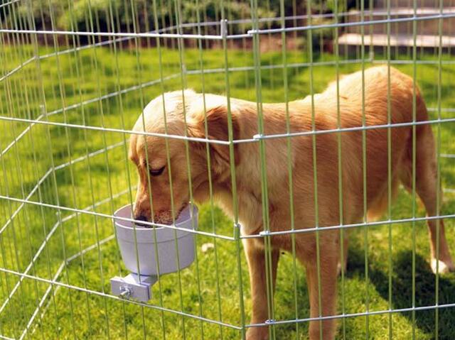 Crock Jumbo skål til tremmebur