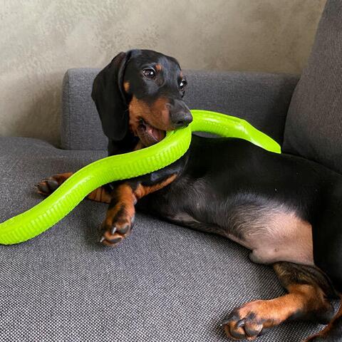 Snack Slange | Godbidgemmer | Super holdbar