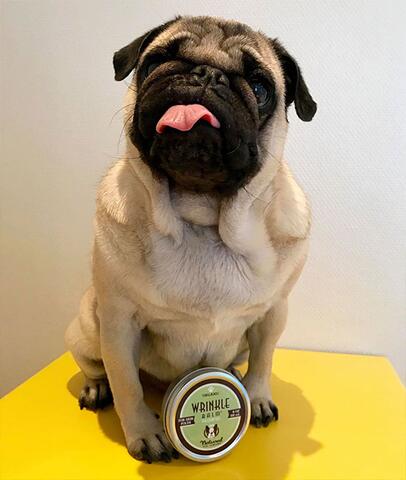 Wrinkle Balm til hudfolder | Natural Dog Company