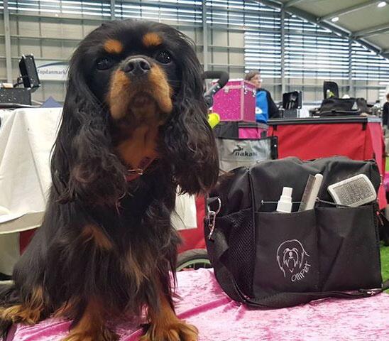 Ollipet Groomingtaske | Perfekt til udstillingsbrug