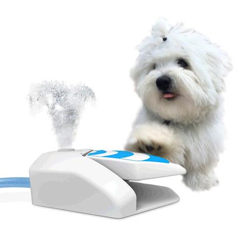 Chill Out | All for Paws