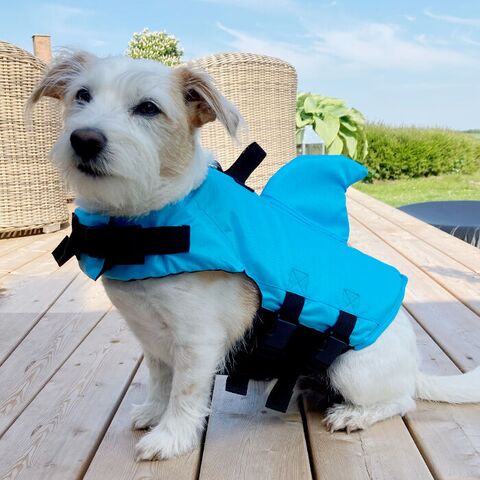 Hajredningsvest til hunde