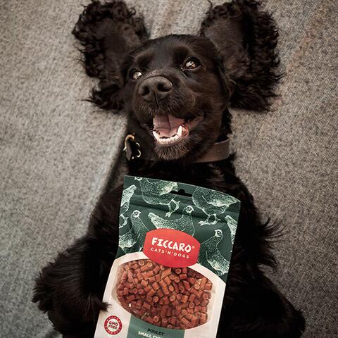 Ficcaro Small Chicken Bites | 100g |
Cockalier Cosmo