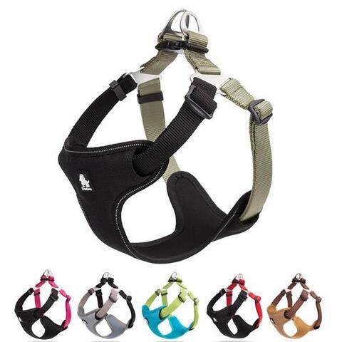 True Love Step in sele