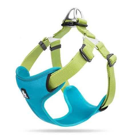 True Love Step in sele | Turkis/Lime