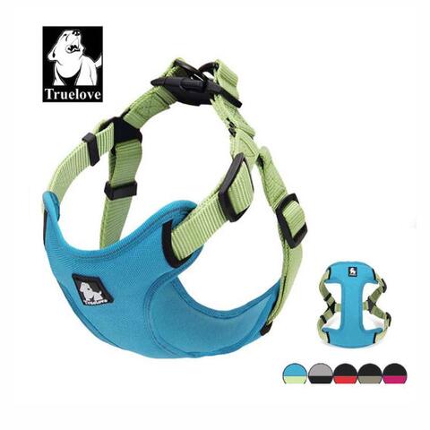 True Love Step in sele