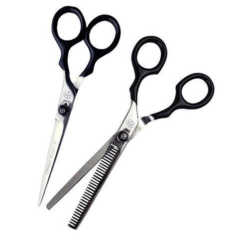 Ollipet Basis Saksesæt