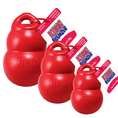 KONG Bounzer