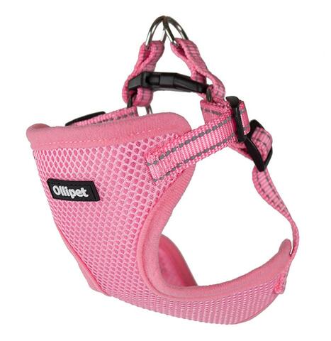 Ollipet Step-In sele | Small passer til cotonhvalp på 8 uger.