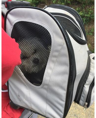 Ozami hundetrolley med Malteser