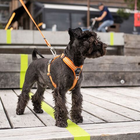 Comfort Walk Air™ selen