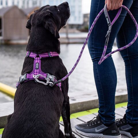 Comfort Walk Air™ selen