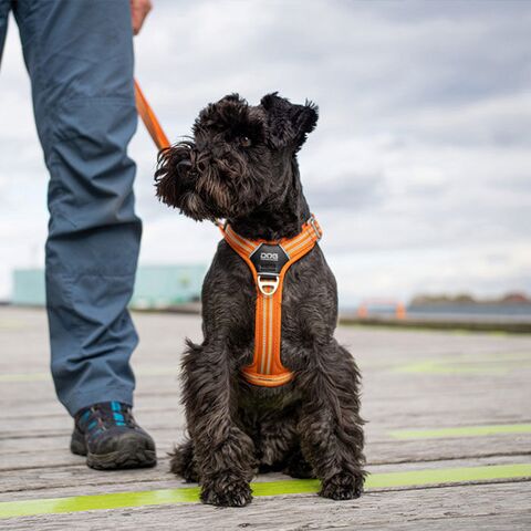 Comfort Walk Air™ selen